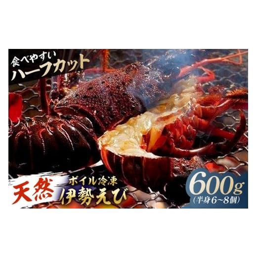 ふるさと納税 エビ 伊勢エビ 千葉県 南房総市 天然 ボイル冷凍伊勢海老 ハーフカット600g(半身6〜8個) mi0020-0013 伊勢海老 ボイル ハーフカット 魚介 バ…