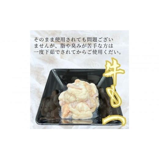 ふるさと納税 加工品等 福岡県 福岡市  10人前 博多の老舗醤油屋さんのこだわりスープのもつ鍋セット 福岡特産ラー麦１００％使用のちゃんぽん?付き |  | 06