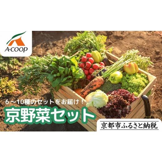 ふるさと納税 セット・詰合せ 京都府 京都市  エーコープ京都中央 おまかせ京野菜セット［ 京都 野菜 新鮮 人気 おすすめ 美味しい 旬の野菜 上賀茂野菜 スタ…_1