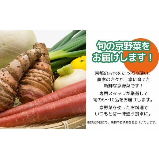 ふるさと納税 セット・詰合せ 京都府 京都市  エーコープ京都中央 おまかせ京野菜セット［ 京都 野菜 新鮮 人気 おすすめ 美味しい 旬の野菜 上賀茂野菜 スタ…_2