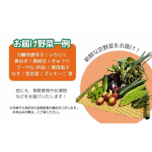 ふるさと納税 セット・詰合せ 京都府 京都市  エーコープ京都中央 おまかせ京野菜セット［ 京都 野菜 新鮮 人気 おすすめ 美味しい 旬の野菜 上賀茂野菜 スタ…_3