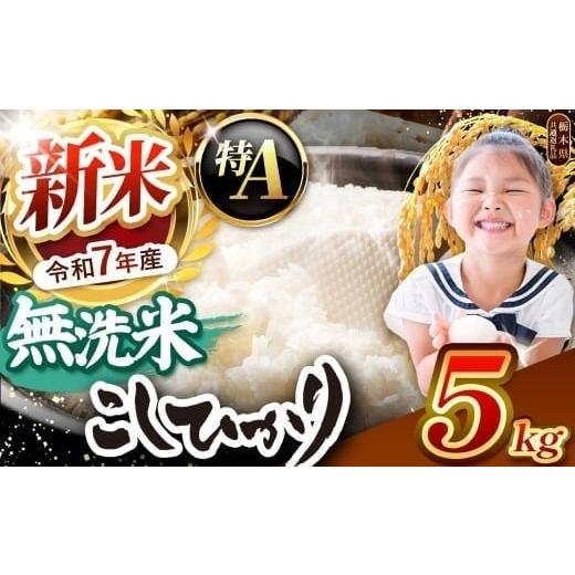 ふるさと納税 無洗米 栃木県 矢板市 栃木県産コシヒカリ 無洗米 5kg 栃木県共通返礼品 | お米 米 こめ 洗米 新米 無洗米 コシヒカリ こしひかり 美味しい お弁…