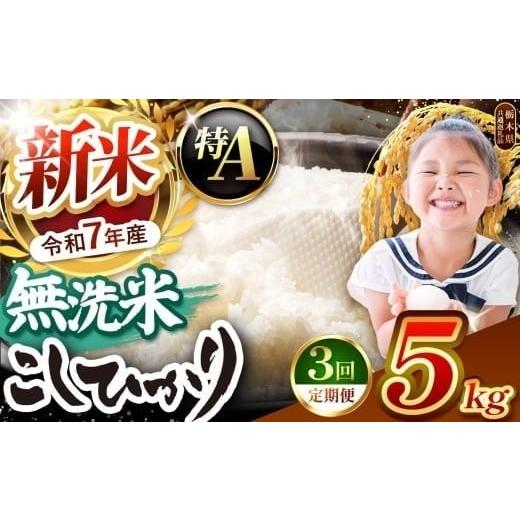 ふるさと納税 無洗米 栃木県 矢板市 令和7年度新米先行予約 栃木県産コシヒカリ 無洗米 5kg 定期便3回 栃木県共通返礼品 | 定期便 お米 米 こめ 洗米 新米 無…