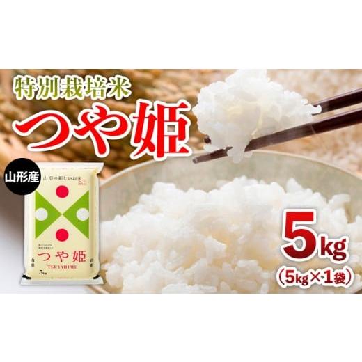 ふるさと納税 米 つや姫 山形県 山形市 令和7年産 新米 山形産 特別栽培米 つや姫 5kg FZ25-304
