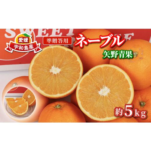 ふるさと納税 果物類 みかん 愛媛県 宇和島市 ネーブルオレンジ 5kg 準 贈答用 矢野青果 ネーブル オレンジ オレンジ みかん 柑橘 果物 くだもの フルーツ 濃…