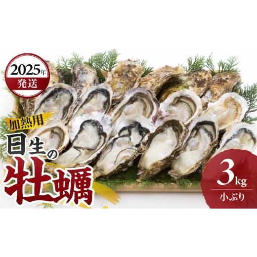 ふるさと納税 牡蠣 生牡蠣 岡山県 備前市 先行受付スタート 2025年11月下旬発送 日生 牡蠣(小ぶり)3kg (発泡スチロールにてお届け ) 生鮮 牡蠣 3kg 日生…