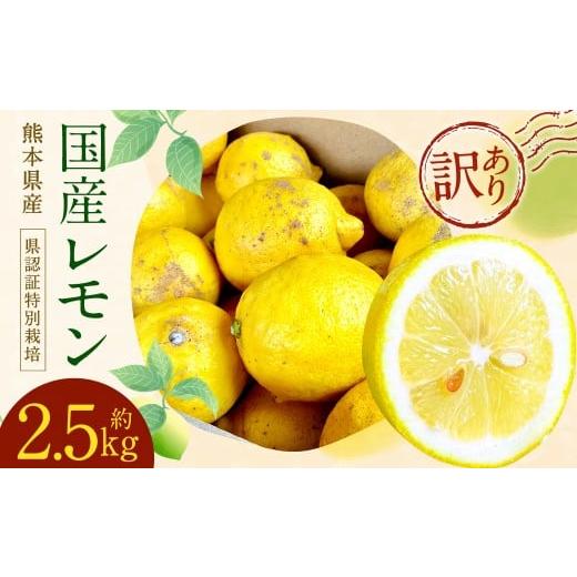 ふるさと納税 みかん・柑橘類 レモン 熊本県 水俣市 イエローレモン 訳あり C品 計約2.5kg (県認証特別栽培) 檸檬 れもん レモン 柑橘 2025年12月上旬-2026…