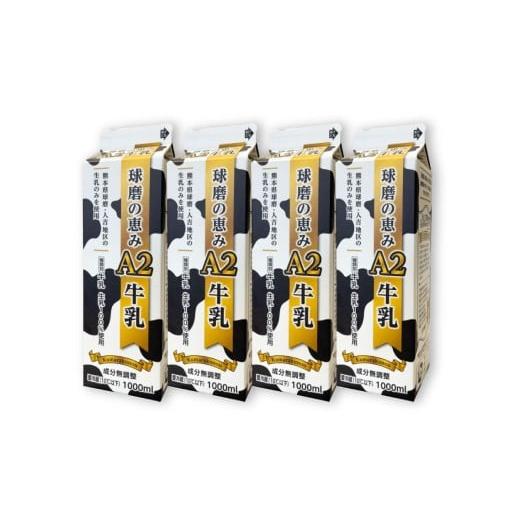 ふるさと納税 飲料類 牛乳 熊本県 相良村 球磨の恵みA2牛乳 4本パック 合計4000ml 牛乳 ミルク Bカゼイン βカゼイン 冷蔵 九州 熊本県産 人吉球磨