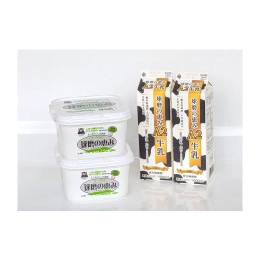 ふるさと納税 飲料類 牛乳 熊本県 相良村 球磨の恵み「A2牛乳」と「球磨の恵みヨーグルト(砂糖不使用)」セット 牛乳 ミルク Bカゼイン βカゼイン ヨーグル…
