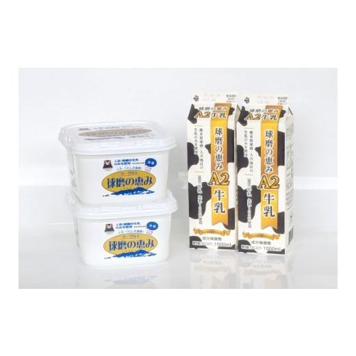 ふるさと納税 飲料類 牛乳 熊本県 相良村 球磨の恵み「A2牛乳」と「球磨の恵みヨーグルト(加糖)」セット 牛乳 ミルク Bカゼイン βカゼイン ヨーグルト 乳製…