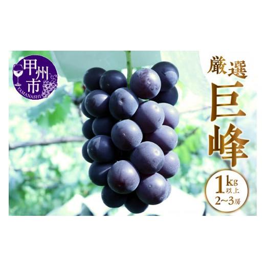 ふるさと納税 ぶどう 巨峰 山梨県 甲州市 甲州市産 厳選 巨峰 1kg以上(2〜3房) 2026年発送 (APX)B-871 2026年発送