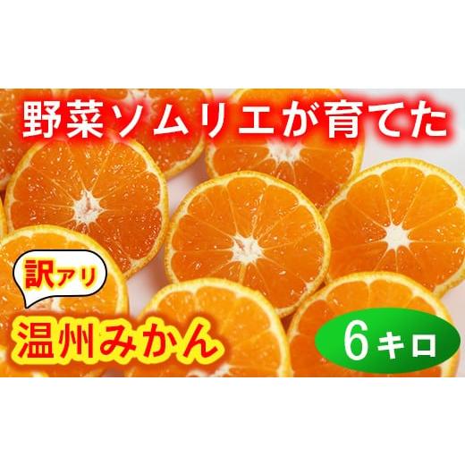 ふるさと納税 果物類 みかん 大分県 杵築市 訳あり・規格外品 野菜ソムリエ石児さんの「温州みかん 6kg」 ミカン みかん 蜜柑 柑橘 6kg 柑橘類 訳あり 甘い …