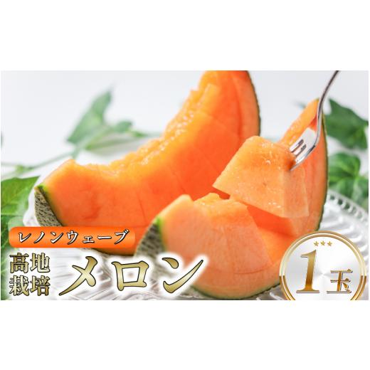 ふるさと納税 メロン メロン赤肉 徳島県 三好市 メロン 赤肉 徳島県産 高地栽培 レノンウェーブ 1玉 赤肉メロン フルーツ 果物 旬 季節 厳選 高級 人気 デザー…