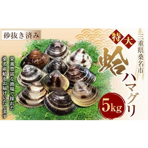 ふるさと納税 しじみ・あさり・蛤 蛤(はまぐり) 三重県 桑名市 指定日必須 7月・8月発送不可 特大 丸元水産 桑名産蛤(ハマグリ) 5.0kg はまぐり ハマグリ…