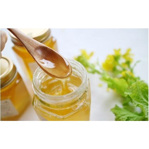 ふるさと納税 加工品等 はちみつ 岡山県 真庭市  マツリカサボン OKUKIBI HONEY 日本みつ蜂 非加熱はちみつ ／ 数量限定 ハチミツ ニホンミツバチ 国産 蜂蜜 …の画像