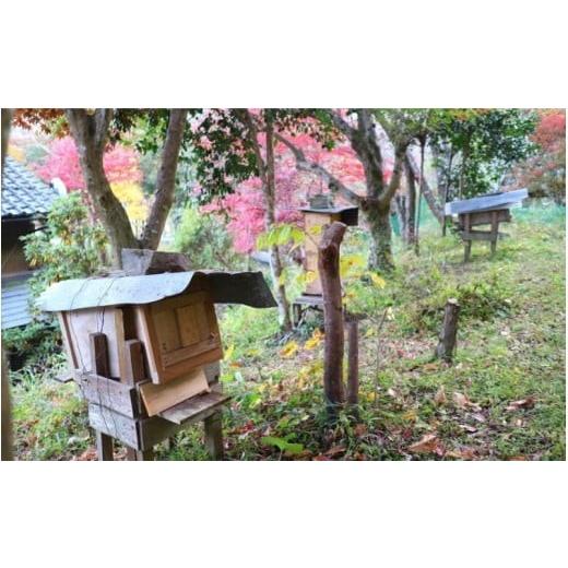 ふるさと納税 加工品等 はちみつ 岡山県 真庭市  マツリカサボン OKUKIBI HONEY 日本みつ蜂 非加熱はちみつ ／ 数量限定 ハチミツ ニホンミツバチ 国産 蜂蜜 …の画像