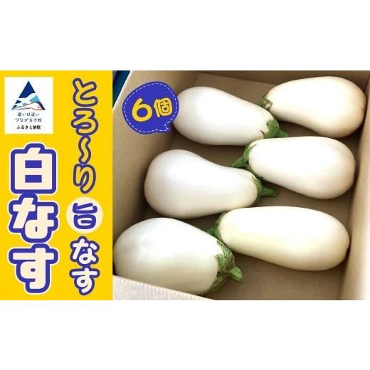 ふるさと納税 野菜類 茄子 石川県 小松市 先行予約 季節限定 白なす 6個 ナス 茄子 野菜 白なす | 石川県 小松市 のうちゃんファーム