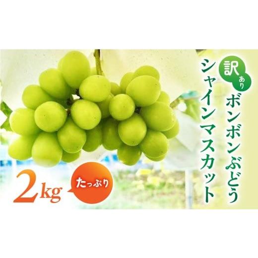 ふるさと納税 ぶどう マスカット 長野県 東御市 先行受付2026年発送 訳アリボンボンぶどう シャインマスカットたっぷり2kg|信州東御ぶどう園 2026年9月中…