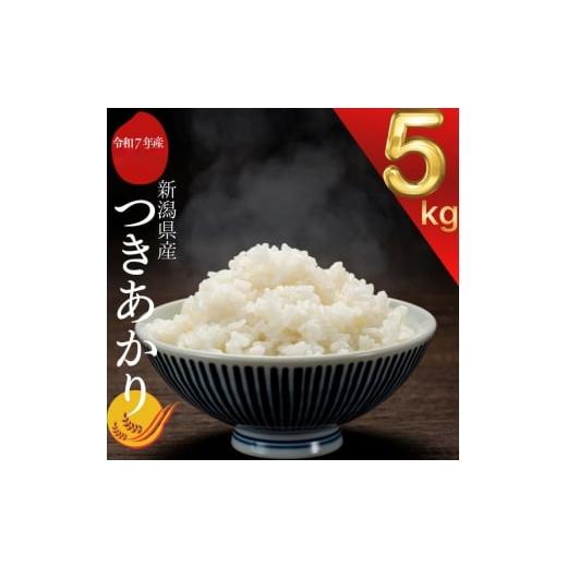 ふるさと納税 米 新潟県 上越市 令和7年 新潟県産つきあかり 5kg 5キロ 