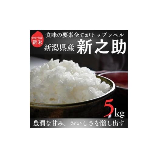 ふるさと納税 米 新潟県 上越市 令和7年 新潟県産新之助 5kg 5キロ 白米 精米 送料無料 上越市 米ヴィレッジさんわ 低温貯蔵 品質管理徹底 先行予約 No.5361-2…