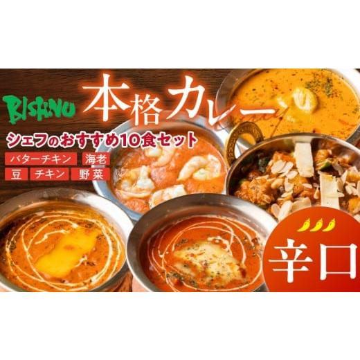 ふるさと納税 惣菜・レトルト 冷凍 福岡県 久留米市 辛口 ビスヌ 本格カレー シェフのおすすめ10食_ビスヌ 本格 カレー シェフ おすすめ 10食 バターチキン …