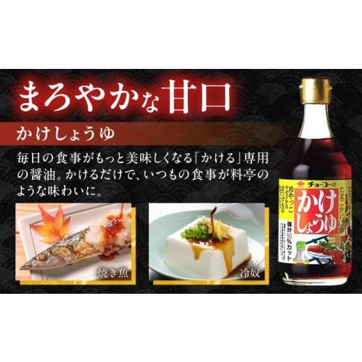 ふるさと納税 醤油 だし醤油 長崎県 大村市 かけしょうゆ 400ml 12本 ／ 醤油 減塩 かけ醤油 だし醤油 長崎限定 九州 甘口 濃口 あまくち こいくち しょうゆ …の画像
