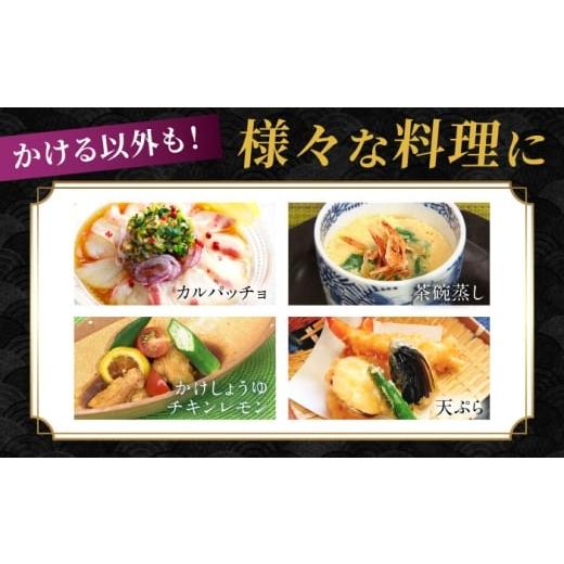 ふるさと納税 醤油 だし醤油 長崎県 大村市 かけしょうゆ 400ml 12本 ／ 醤油 減塩 かけ醤油 だし醤油 長崎限定 九州 甘口 濃口 あまくち こいくち しょうゆ …の画像