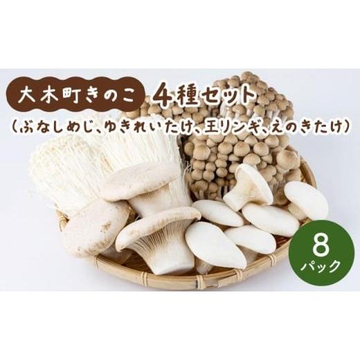 ふるさと納税 野菜類 きのこ 福岡県 大木町 大木町のきのこセット(ぶなしめじ・ゆきれいたけ・王リンギ・えのきたけ各2パック) 各2パック