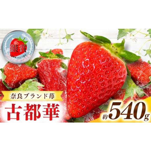 ふるさと納税 いちご 奈良県 五條市 甘くて高級 奈良県産ブランド「 古都華 ( ことか )」 2パック (約 540g )| フルーツ くだもの 果物 いちご イチゴ こ…
