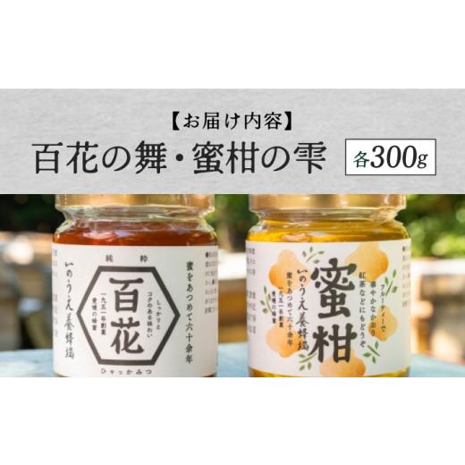 ふるさと納税 加工品等 はちみつ 愛媛県 内子町 はちみつ 瀬戸内の恵み 百花蜜＆蜜柑蜜詰め合わせセット（各300g）／蜂蜜 ハチミツはちみつ ハニー Honey hone…の画像