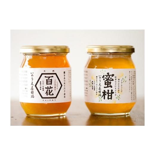 ふるさと納税 加工品等 はちみつ 愛媛県 内子町 はちみつ 瀬戸内の恵み 百花蜜＆蜜柑蜜詰め合わせセット（各300g）／蜂蜜 ハチミツはちみつ ハニー Honey hone…の画像