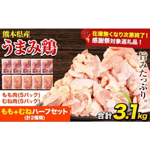 ふるさと納税 鶏肉 モモ 熊本県 津奈木町 チョイス限定 うまみ鶏ハーフ