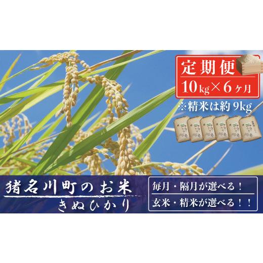 ふるさと納税 兵庫県 猪名川町 [定期便10kg×6回]猪名川町のお米(キヌヒカリ)※精米※毎月配送 精米約9kg×6回 1ヶ月ごとに配送