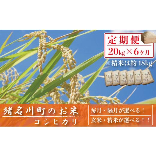 【公式】 ふるさと納税 兵庫県 猪名川町 【定期便20kg×6回】猪名川町のお米（コシヒカリ）※精米※毎月配送 【HOV2527475930】(89040円)