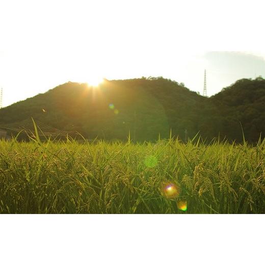 【公式】 ふるさと納税 兵庫県 猪名川町 【定期便20kg×6回】猪名川町のお米（コシヒカリ）※精米※毎月配送 【HOV2527475930】(89040円)