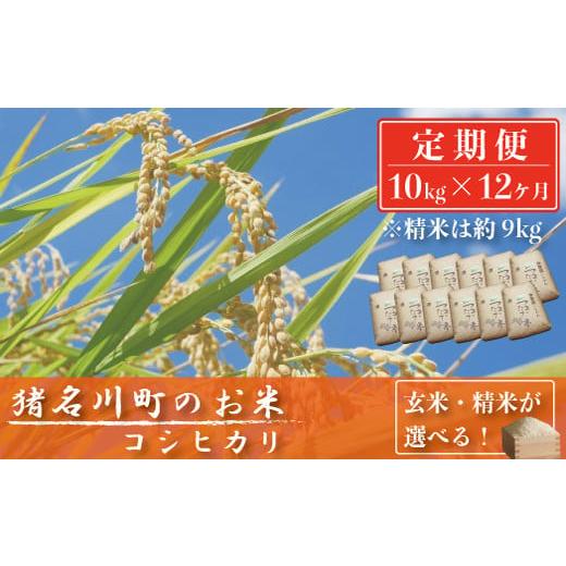 ふるさと納税 兵庫県 猪名川町 [定期便10kg×12回]猪名川町のお米(コシヒカリ)※精米※毎月配送/こめ コメ こしひかり 精米約9kg×12回 1ヶ月ごとに配…