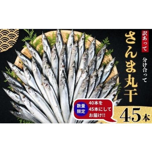 ふるさと納税 魚貝類 さんま 千葉県 銚子市 さんま サンマ 秋刀魚 45尾 数量限定 増量 中 訳あって さんま丸干 40本 分け合って 訳あり さんま 丸干し 10000円…