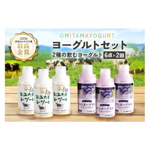 ふるさと納税 飲料類 乳飲料 茨城県 小美玉市 2回定期便 おみたまドリンクヨーグルトセット ヨーグルト ドリンクタイプ 飲むヨーグルト 乳酸菌飲料 ヨーグル…