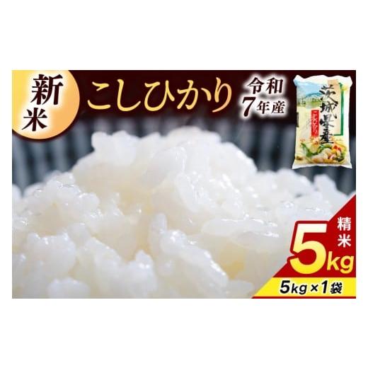 ふるさと納税 米 コシヒカリ 茨城県 鹿嶋市 精米 コシヒカリ 5kg (5kg × 1袋) 令和7年産 米 精米 白米 こしひかり 茨城県 鹿嶋市 国産 送料無料 お米 ごはん …