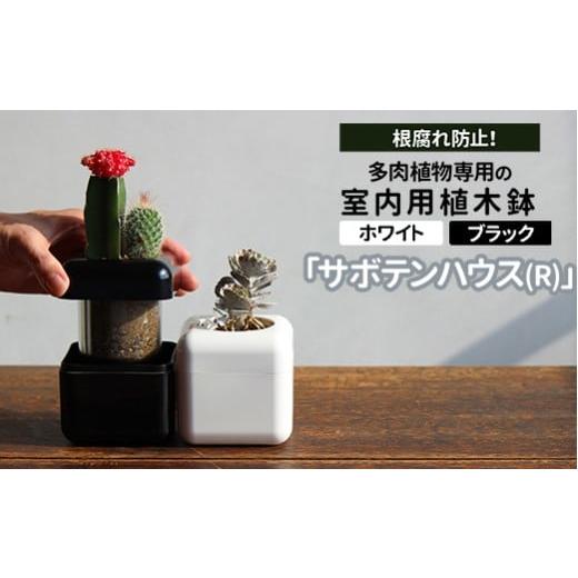 ふるさと納税 雑貨・日用品 茨城県 古河市 ブラック 根腐れ防止 多肉植物専用の室内用植木鉢「サボテンハウス(R)」 かわいいキューブ型植木鉢 日用品 贈答品 …