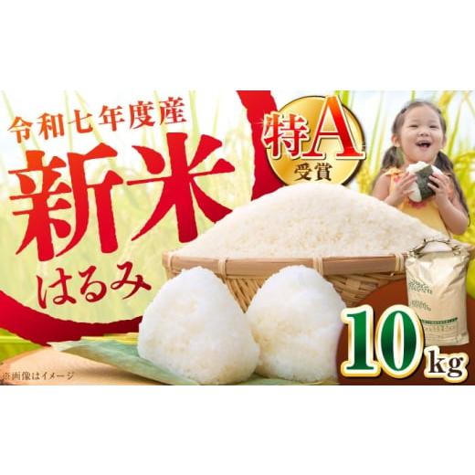 ふるさと納税 米 神奈川県 開成町 年内発送 令和7年産 特Aランク受賞実績あり はるみ 10kg 井上農園 新米 10kg 1袋 令和7年産はるみ コシヒカリ の遺伝子を引…