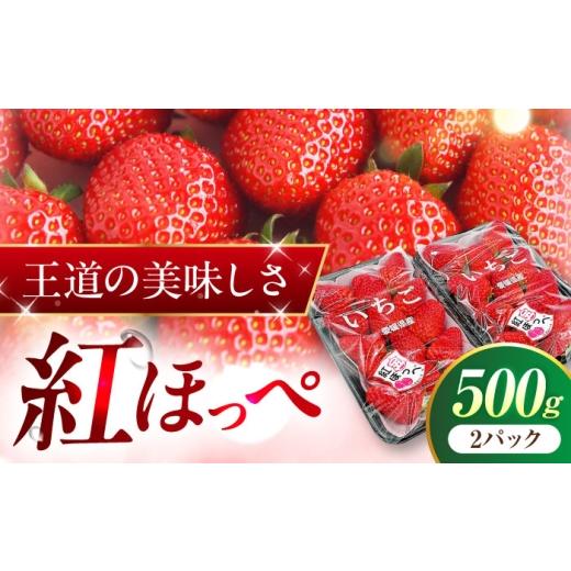 ふるさと納税 いちご 愛媛県 内子町 いちご 先行予約 「紅ほっぺ」 2パック / イチゴ 苺 果物 フルーツ 国産 産地直送 愛媛県 内子町産 人気 おすすめ 送料無…