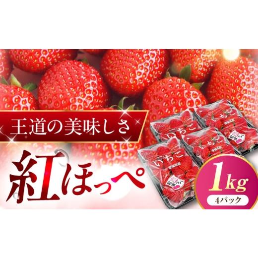 ふるさと納税 いちご 愛媛県 内子町 いちご 先行予約 「紅ほっぺ」 4パック / イチゴ 苺 果物 フルーツ 国産 産地直送 愛媛県 内子町産 人気 おすすめ 送料無…