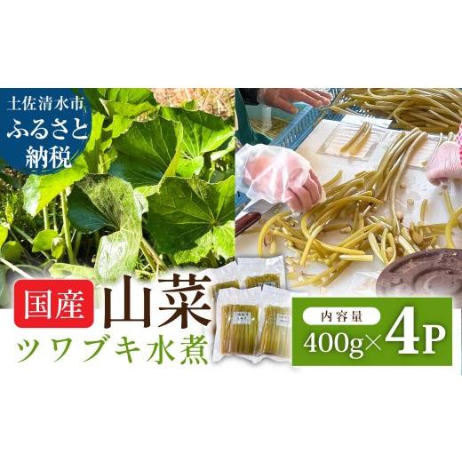 ふるさと納税 野菜類 山菜 高知県 土佐清水市  令和８年５月以降 ツワブキ 水煮 400g×4パック 1.6kg 1.6キロ 山菜 下処理済み 野菜 春の食材 煮物 佃煮 料理 …の画像
