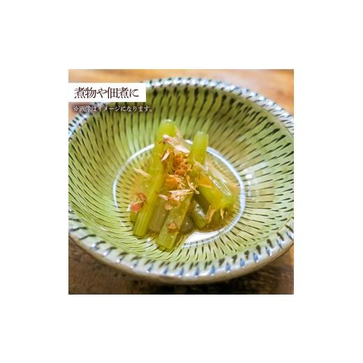 ふるさと納税 野菜類 山菜 高知県 土佐清水市  令和８年５月以降 ツワブキ 水煮 400g×4パック 1.6kg 1.6キロ 山菜 下処理済み 野菜 春の食材 煮物 佃煮 料理 …の画像