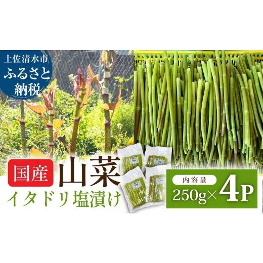 ふるさと納税 野菜類 山菜 高知県 土佐清水市 イタドリの塩漬け 250g×4パック 1kg 1キロ 山菜 いたどり 下処理済み 野菜 春の食材 虎杖 スカンポ イタズリ 炒…の画像