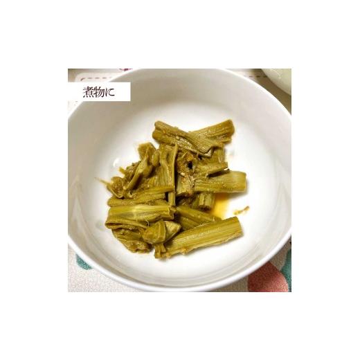 ふるさと納税 野菜類 山菜 高知県 土佐清水市 イタドリの塩漬け 250g×4パック 1kg 1キロ 山菜 いたどり 下処理済み 野菜 春の食材 虎杖 スカンポ イタズリ 炒…の画像