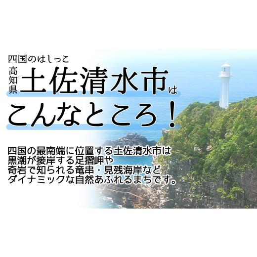 ふるさと納税 野菜類 山菜 高知県 土佐清水市 イタドリの塩漬け 250g×4パック 1kg 1キロ 山菜 いたどり 下処理済み 野菜 春の食材 虎杖 スカンポ イタズリ 炒…の画像