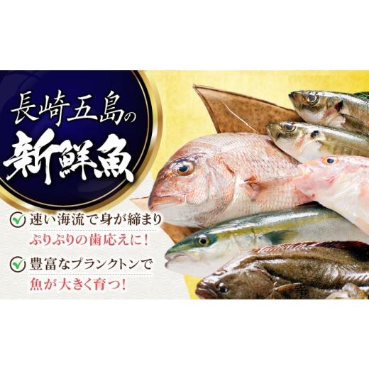 ふるさと納税 魚貝類 長崎県 五島市  12回定期便 漬け魚5種（柚庵漬け／酒粕漬け／塩麹漬け／柚子味噌漬け／柚子胡椒漬け） 魚種は旬の魚をおまかせ 五島市／…_5