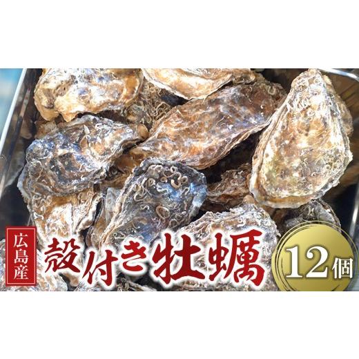 ふるさと納税 牡蠣 生牡蠣 広島県 広島市 2026年度先行予約 広島県産 草津かき(殻付き) 12個(12月~3月 収穫でき次第発送) | 牡蠣 殻付き牡蠣 広島牡蠣 広島…